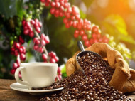 Ini 9 Makanan Termahal di Dunia, Ada Kopi Luwak Indonesia!