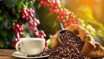Ini 9 Makanan Termahal di Dunia, Ada Kopi Luwak Indonesia!