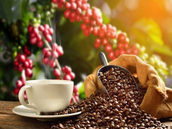 Ini 9 Makanan Termahal di Dunia, Ada Kopi Luwak Indonesia!
