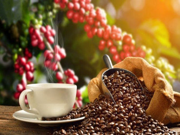 Ini 9 Makanan Termahal di Dunia, Ada Kopi Luwak Indonesia!