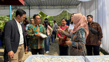 BRI Life Dorong Daya Saing dan Peningkatan Nilai Produksi Singkong
