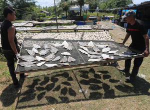 Produksi Ikan Asin Kering di Aceh Menurun Akibat Cuaca Buruk