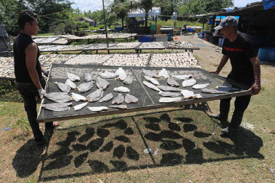 Produksi Ikan Asin Kering di Aceh Menurun Akibat Cuaca Buruk