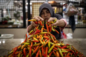 BPS Jateng Mencatat Terjadinya Inlflasi Sebesar 0,24% Pada Juni