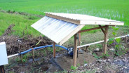 Program Electrifying Agriculture PLN di Sulselrabar Telah Jangkau 3.911 Petani
