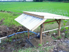 Program Electrifying Agriculture PLN di Sulselrabar Telah Jangkau 3.911 Petani