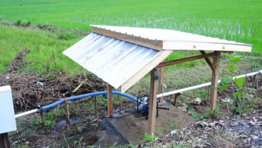 Program Electrifying Agriculture PLN di Sulselrabar Telah Jangkau 3.911 Petani