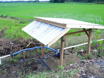 Program Electrifying Agriculture PLN di Sulselrabar Telah Jangkau 3.911 Petani