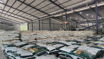 Pertanian Menggeliat, NPGF Bidik Pertumbuhan Penjualan Pupuk 30%
