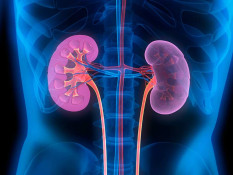 Transplantasi Ginjal Jadi Solusi Bagi Pasien Gagal Ginjal Kronis