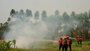 Lahan Terbakar di Sumbar Capai 75 Ha, Juni 2025 Kasus Karhutla Tertinggi