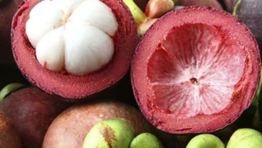 Buah Manggis Jadi Daftar Buah Terbaik di Dunia