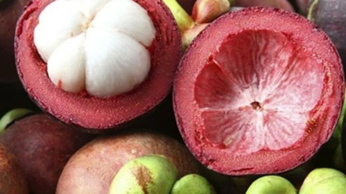 Buah Manggis Jadi Daftar Buah Terbaik di Dunia