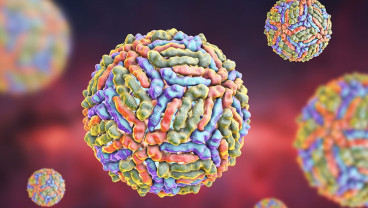 Ilmuwan Temukan Virus Baru di China
