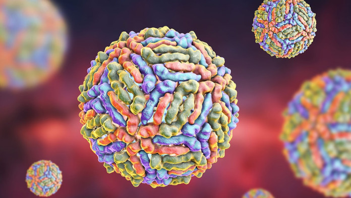 Ilmuwan Temukan Virus Baru di China
