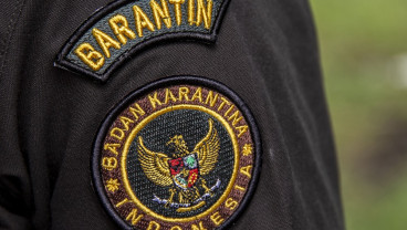 Karantina Sumbar Musnahkan 83,4 Kg Komoditas dari Malaysia dan Singapura