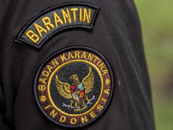 Karantina Sumbar Musnahkan 83,4 Kg Komoditas dari Malaysia dan Singapura