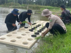 Peneliti Sebut Pemilihan Teknologi yang Relevan Penting untuk Dongkrak Pertanian Sumsel