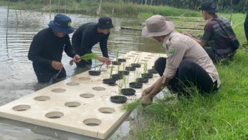 Peneliti Sebut Pemilihan Teknologi yang Relevan Penting untuk Dongkrak Pertanian Sumsel