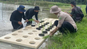 Peneliti Sebut Pemilihan Teknologi yang Relevan Penting untuk Dongkrak Pertanian Sumsel