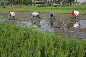 BPS Mencatat Perekonomian Jawa Tengah Pada Triwulan I/2025 Tumbuh Sebesar 4,96%