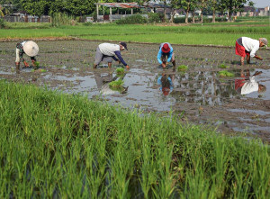 BPS Mencatat Perekonomian Jawa Tengah Pada Triwulan I/2025 Tumbuh Sebesar 4,96%