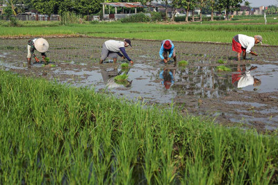 BPS Mencatat Perekonomian Jawa Tengah Pada Triwulan I/2025 Tumbuh Sebesar 4,96%