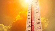Gelombang Panas Ekstrem Lebih 40 Derajat Celcius Landa Eropa, 8 Orang Tewas