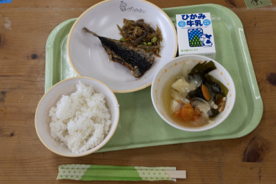 Menanti Efek Program Makan Bergizi Gratis (MBG) bagi Emiten Unggas (CPIN & JPFA)