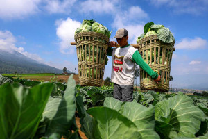 BPS Mencatat Nilai Tukar Petani Pada Juni 2025 Naik 0,47%