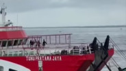 28 Penumpang Kapal Tenggelam di Selat Bali Ditemukan, 4 Meninggal
