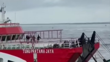 28 Penumpang Kapal Tenggelam di Selat Bali Ditemukan, 4 Meninggal