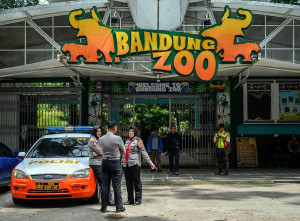 Kisruh Manajemen, Kebun Binatang Bandung Ditutup Sementara
