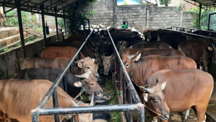 Iduladha Picu Kenaikan Harga Komoditas Pangan di Kota Probolinggo
