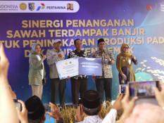 Jawa Tengah Dorong Kolaborasi Lintas Sektor demi Jaga Produksi Pangan