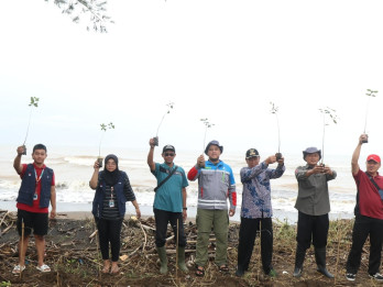 Tanam Ribuan Mangrove, PLTU Batang Dorong Ekonomi dan Ketahanan Pesisir
