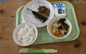 CPIN and JPFA Await Impact of Free Nutritious Meal Program