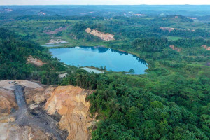 Kementerian Kehutanan Mencatat Angka Deforestasi Netto 2024 Tercatat Sebesar 175,4 Ribu Hektare