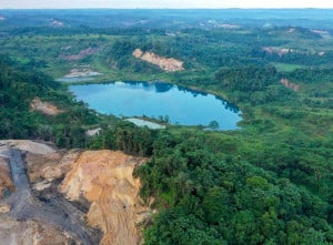 Kementerian Kehutanan Mencatat Angka Deforestasi Netto 2024 Tercatat Sebesar 175,4 Ribu Hektare