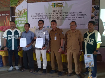 Upaya Bojonegoro Tingkatkan Produktivitas Jagung