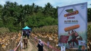 Memacu Potensi Perkebunan Jagung Boalemo