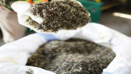 Pabrik Biomassa Bakal Dibangun Di Muba, Target Awal Produksi 24.000 Ton Black Pellet
