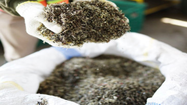 Pabrik Biomassa Bakal Dibangun di Muba, Target Awal Produksi 24.000 Ton Black Pellet