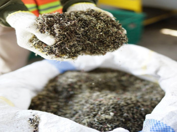 Pabrik Biomassa Bakal Dibangun di Muba, Target Awal Produksi 24.000 Ton Black Pellet