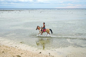 Wisata Menunggang Kuda di Gili Trawangan Banyak Diminati Wisatawan