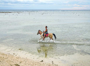 Wisata Menunggang Kuda di Gili Trawangan Banyak Diminati Wisatawan