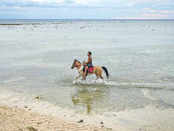 Wisata Menunggang Kuda di Gili Trawangan Banyak Diminati Wisatawan