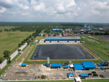 PalmCo Andalkan Digital Awasi Produksi Kebun Sawit 618.000 Hektare