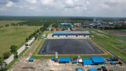 PalmCo Andalkan Digital Awasi Produksi Kebun Sawit 618.000 Hektare
