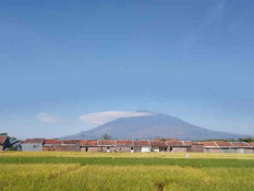 Liburan Mau Habis? Ini 5 Tempat Seru di Kuningan Buat Anak dan Keluarga